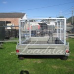 Caged 8x5 Tandem door trailer rear view